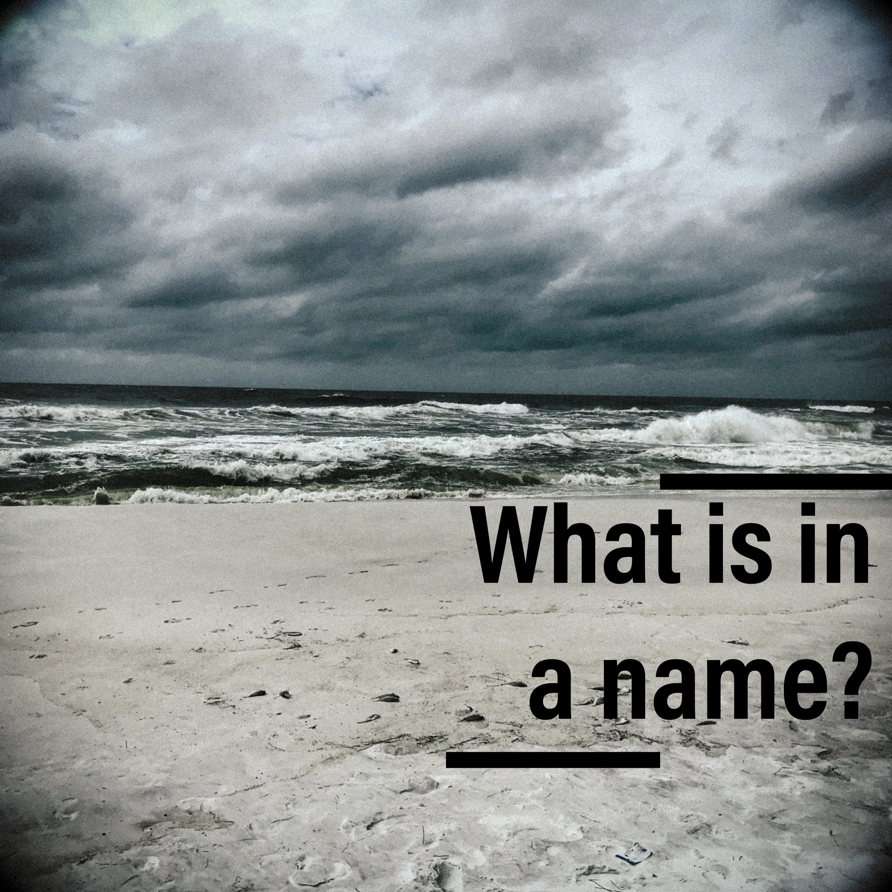 what-is-in-a-name-weekly-inspirations